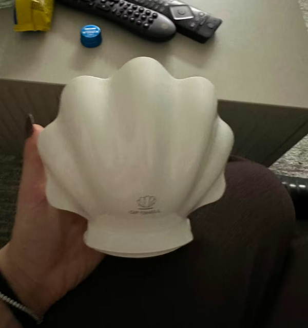 Gina review image